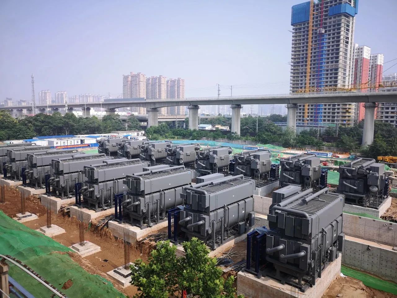 1705284703832148.jpg 11517.jpg