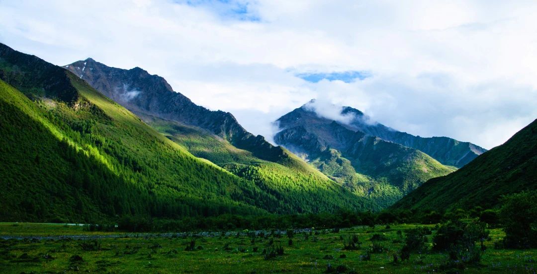 1740029032109313.jpg 微信圖片_20250220131544.jpg